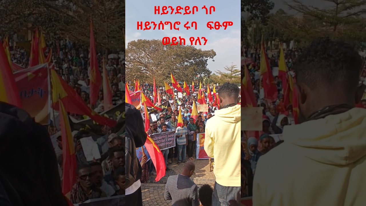 መዝሙር  ትግራይ ኣሰልፊ ብዝለዓለ ድምቀት እንትዝመር
