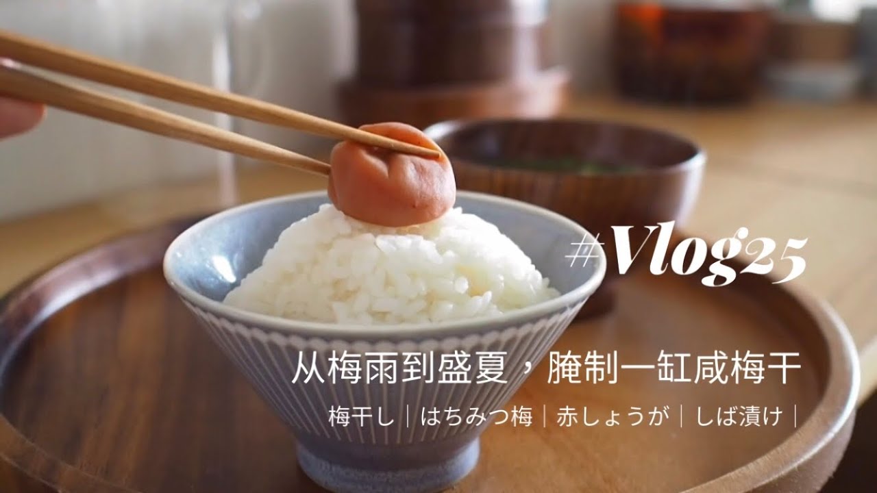 【日本生活vlog25】从梅雨到盛夏，腌制一缸咸梅干｜咸梅干、蜂蜜梅干、红姜渍、柴渍腌制详解｜日本食文化