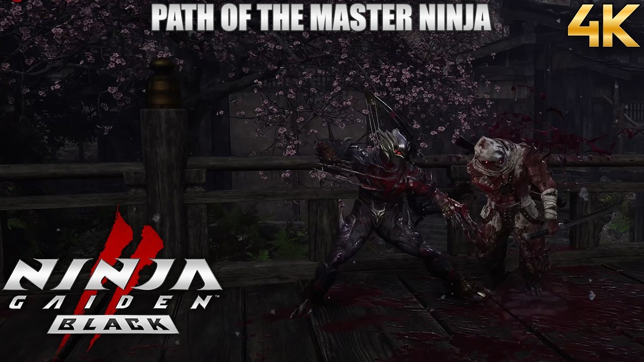 NINJA GAIDEN 2 Black - Path of the Master Ninja - Chapter 14: A Tempered Gravestone