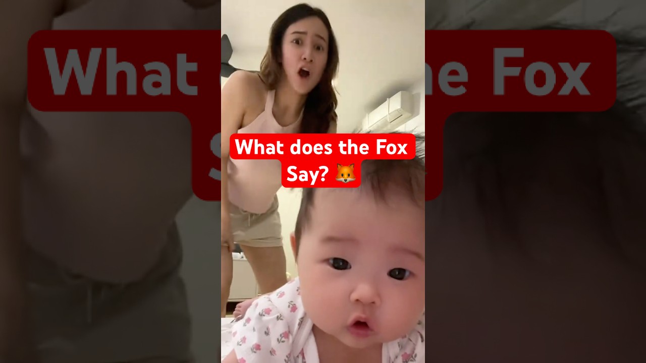Sigma Baby Learns about Foxes 🦊👶🏻