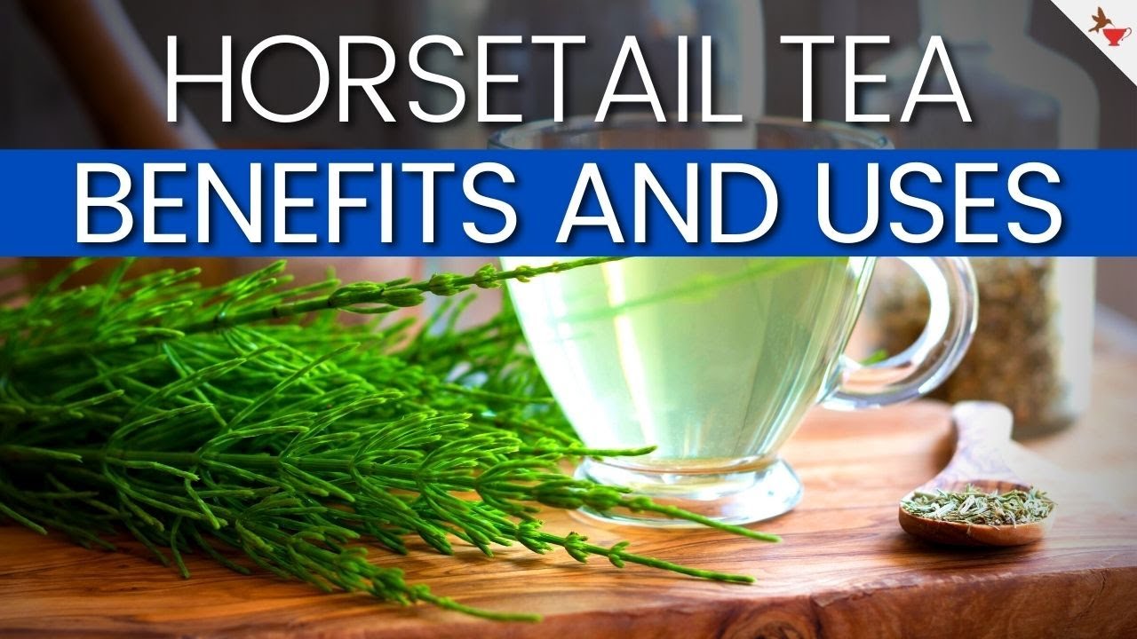 Horsetail Tea Uses And Benefits | The Benefits And Uses Of Horsetail Tea