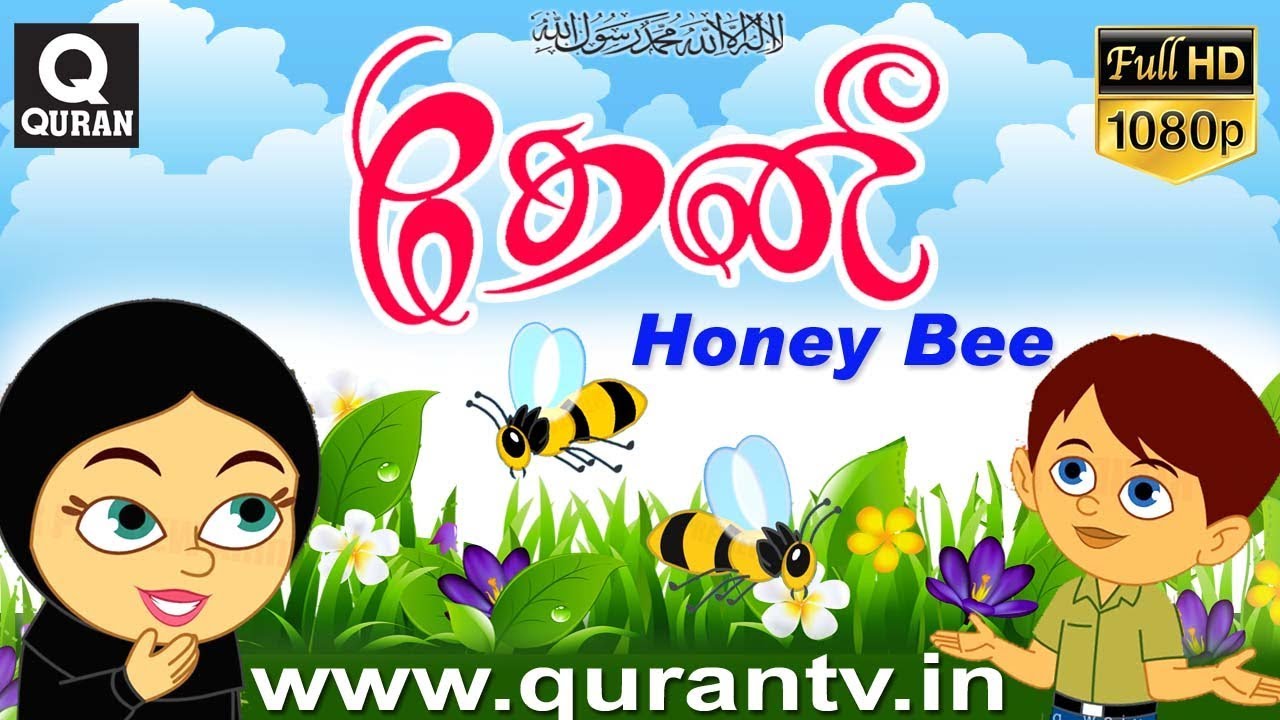 Islamic Cartoon அல்லாஹ்வின் அற்புத படைப்பான தேனீயில் உள்ள வியக்கத்தக்க அறிவியல்  அற்புதம் கார்டூனாக.