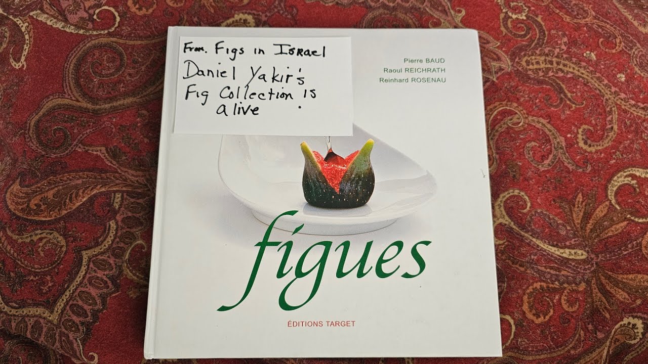 DANIEL YAKIR! A Dedication To The GREATEST Figster Of All Times!