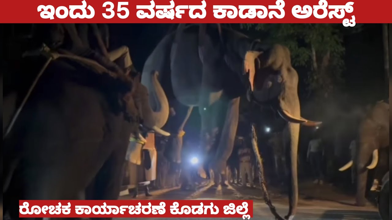 ಇಂದು ಕಾಡಾನೆ ಅರೆಸ್ಟ್ ! ಒಂಟಿ ಸಲಗಗೆ ಟಕ್ಕರ್ ಕೊಟ್ಟ ಕ್ಯಾಪ್ಟನ್ ಪ್ರಶಾಂತ ಚೇಸಿಂಗ್ ನೋಡಿ / Wild elephant capture