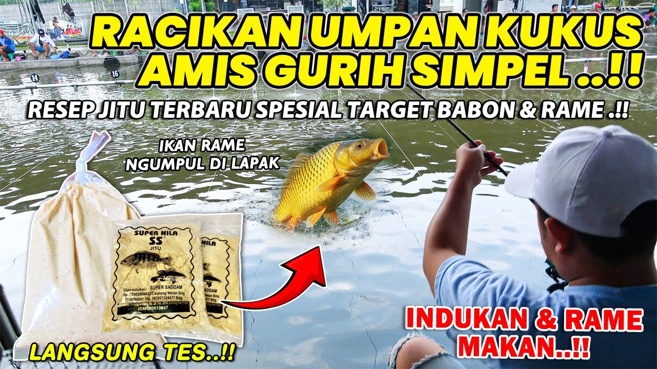 RACIKAN AMIS GURIH SPESIAL TARGET INDUK & IKAN RAME !! RESEP UMPAN KUKUS SIMPEL TERBARU ❗❗