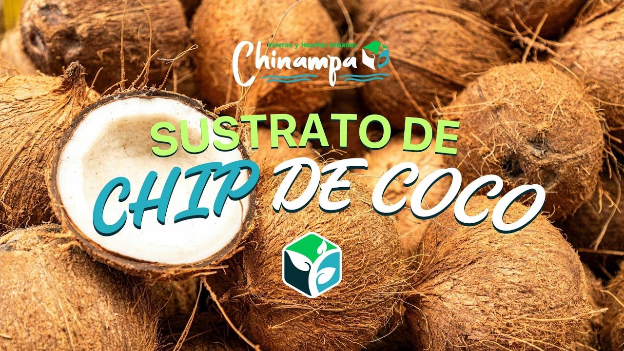 Chip de Coco ¡Humedad y aire para tus plantas! 🥥✨