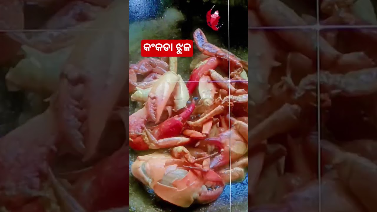 କଂକଡା ଝୋଳ