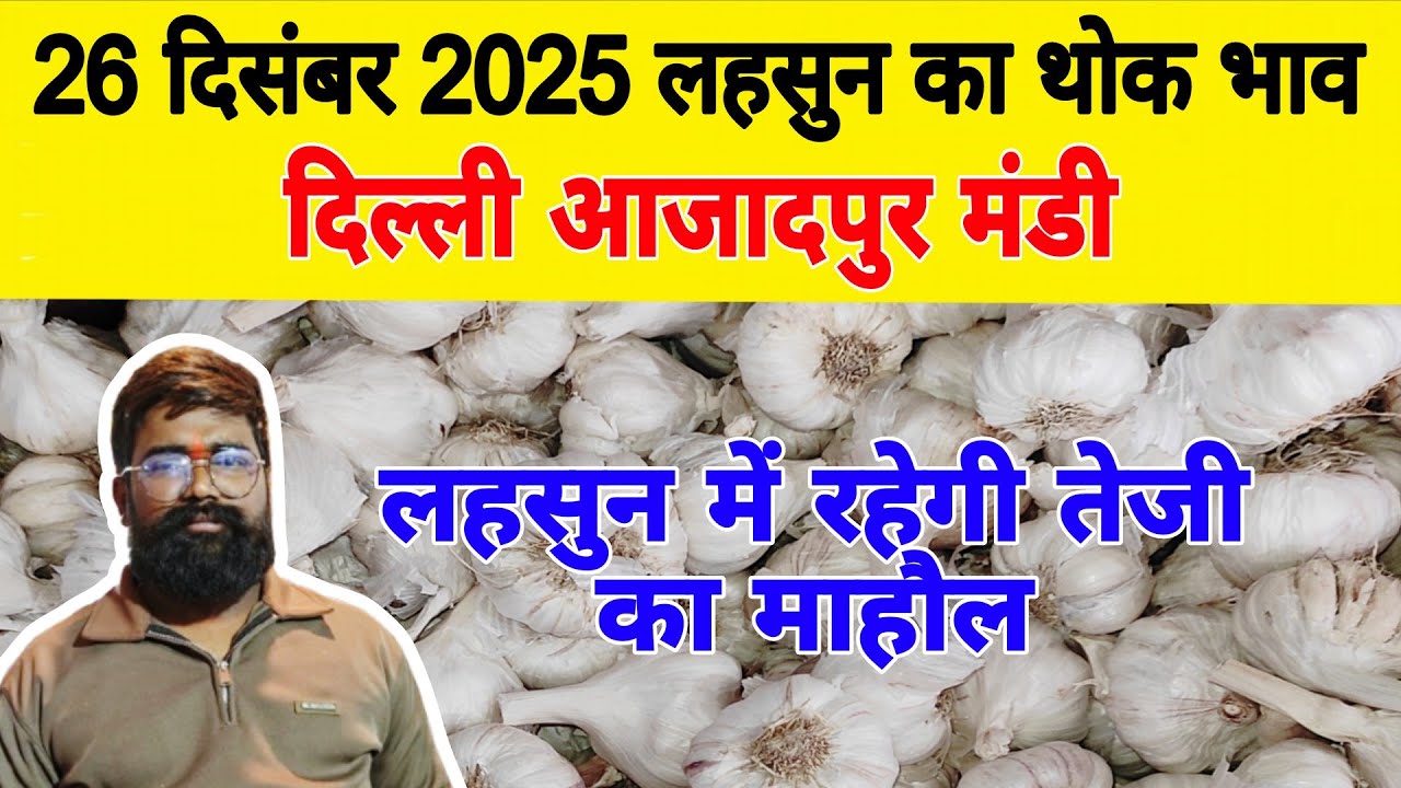 26 Dec 25 | Today Garlic Market Price | Garlic Price The Shocking Prediction #mandirates #garlic