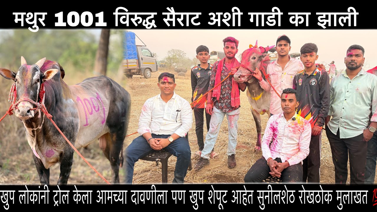 मथुर १००१ 🆚 सैराट शर्यत का केली ? | आमच्या दावणीला पण खुप शेपूट आहेत सुनीलशेठ रोखठोक मुलाखत 💯