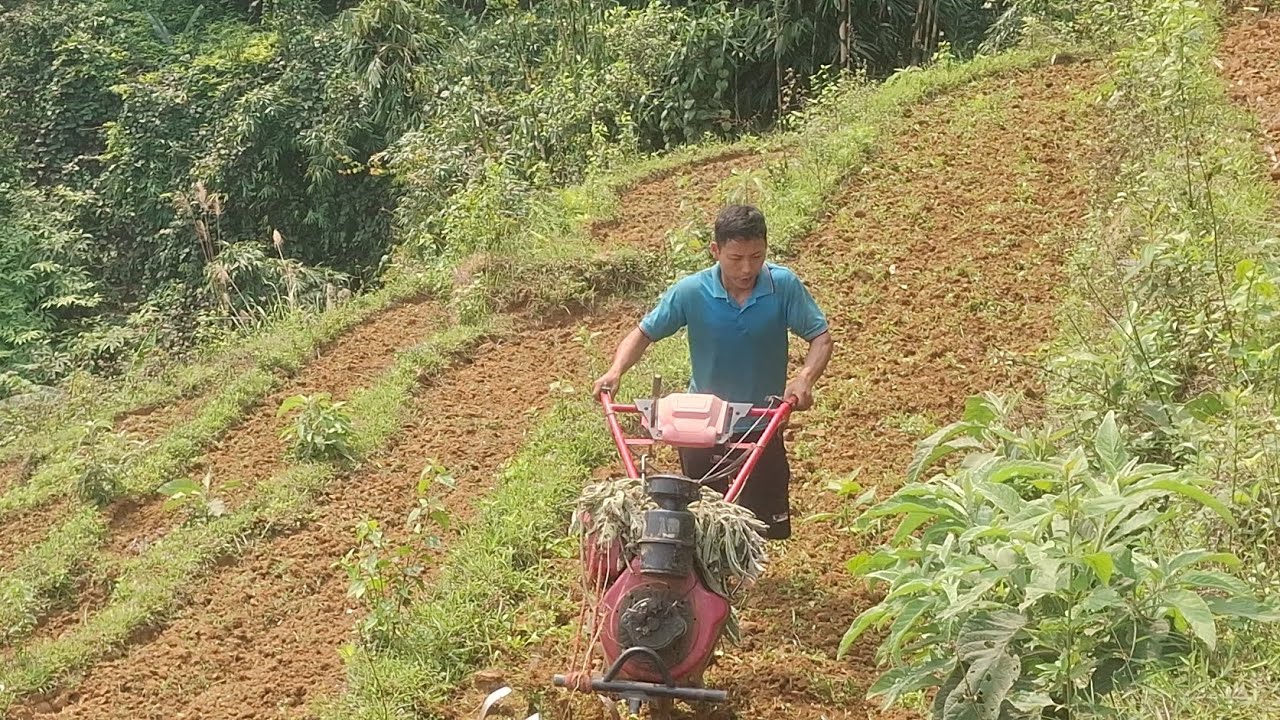 Cháu Chương lên hộ anh Sính cày ruộng trồng ngô |Em Trai Sính 1 Chân