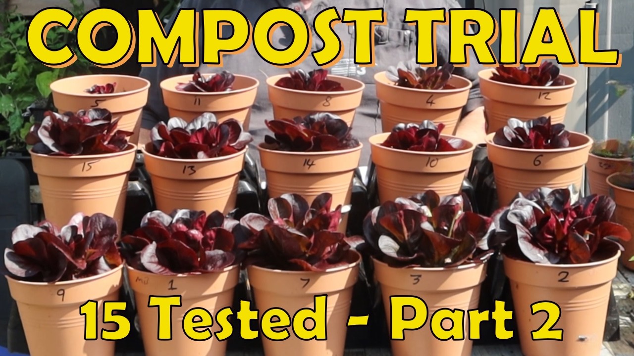 15 Compost Trial Results - WHICH WON? Peat or Peat-Free?