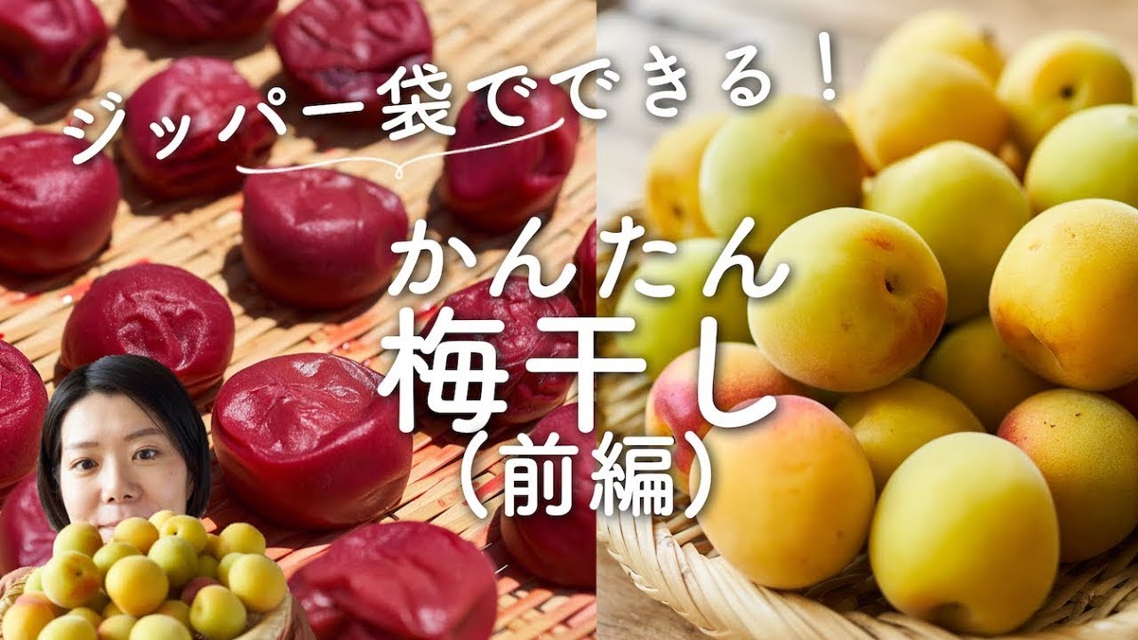【袋でできる！】簡単梅干しのレシピ・作り方(前編)
