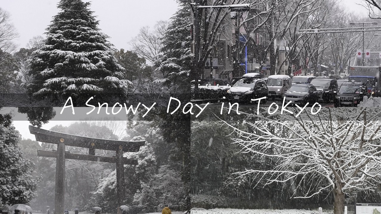 A Snowy Day in Tokyo: Meiji Jingu & Yoyogi Park｜雪の日の東京散歩：明治神宮と代々木公園