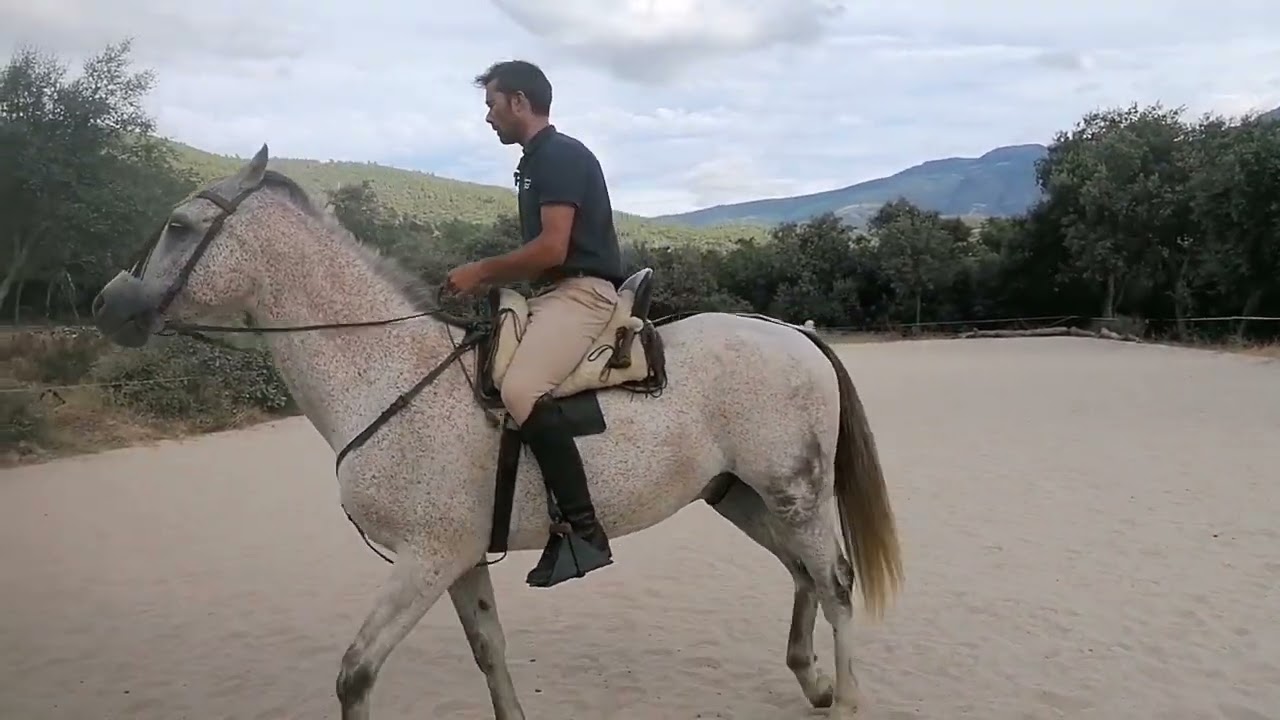 Como utilizar las manos