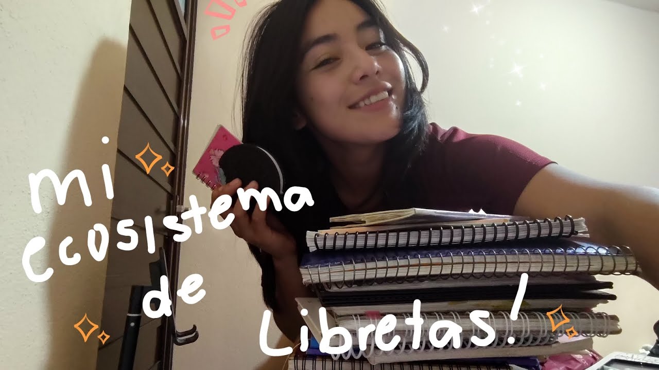 entropia organizada | mi ecosistema de libretas ✨
