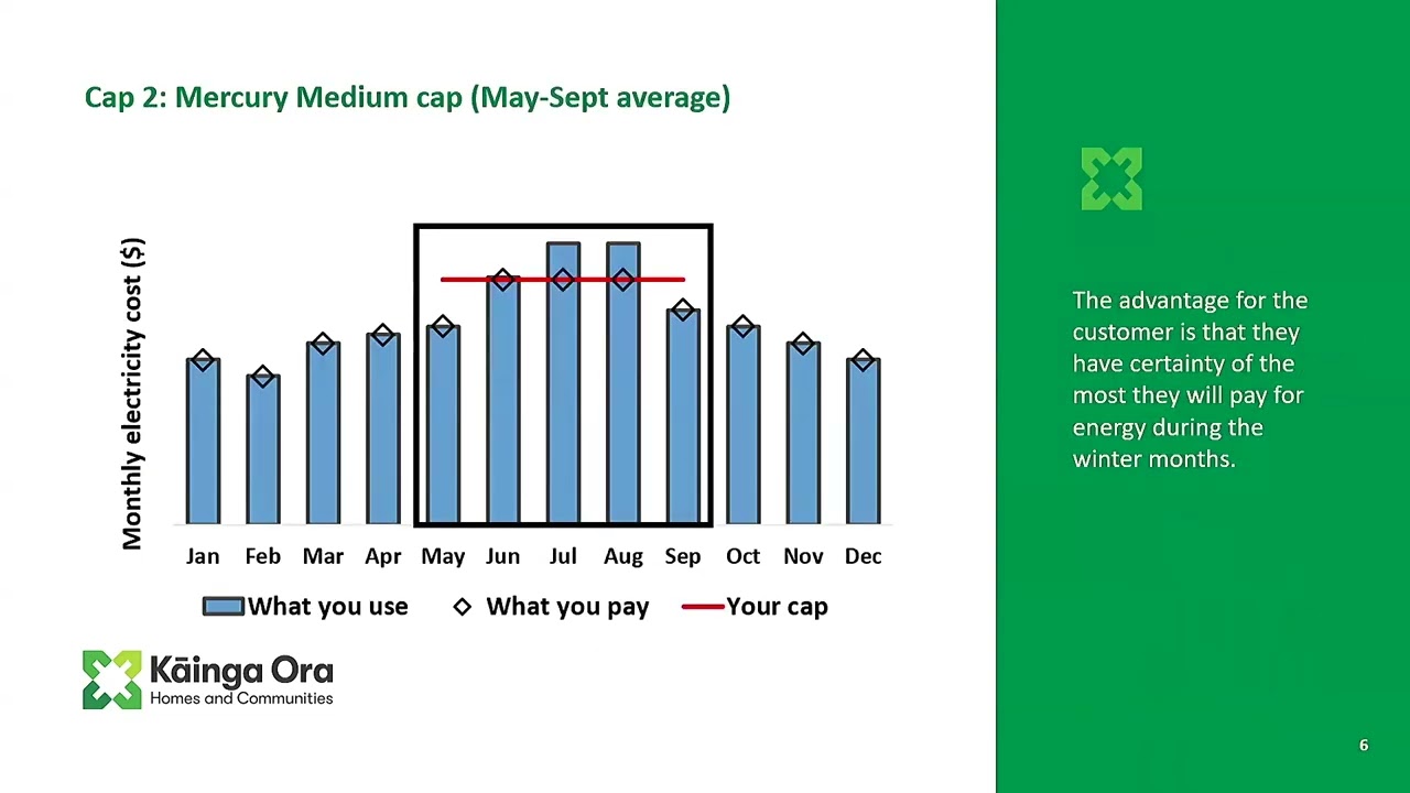 Insights from Kāinga Ora Winter Energy Study, speaker Leon Hoffman
