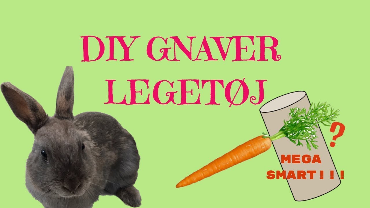 DIY GNAVER LEGET&Oslash;J (mega nemt)