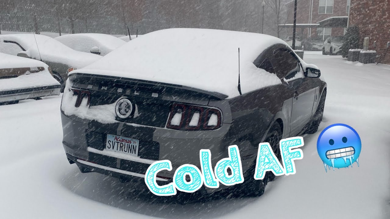 Coldest Cold Start Ever On A Cammed GT500! Loud AF!