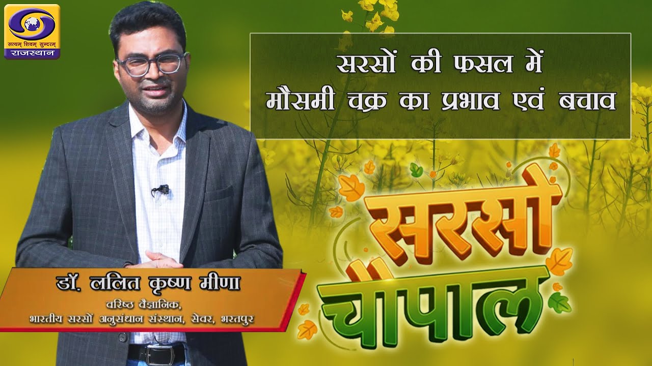 सरसों चौपाल || सरसों की फसल में मौसमी चक्र का प्रभाव एवं बचाव - डॉ ललित कृष्ण मीणा ,वरिष्ठ वैज्ञानिक
