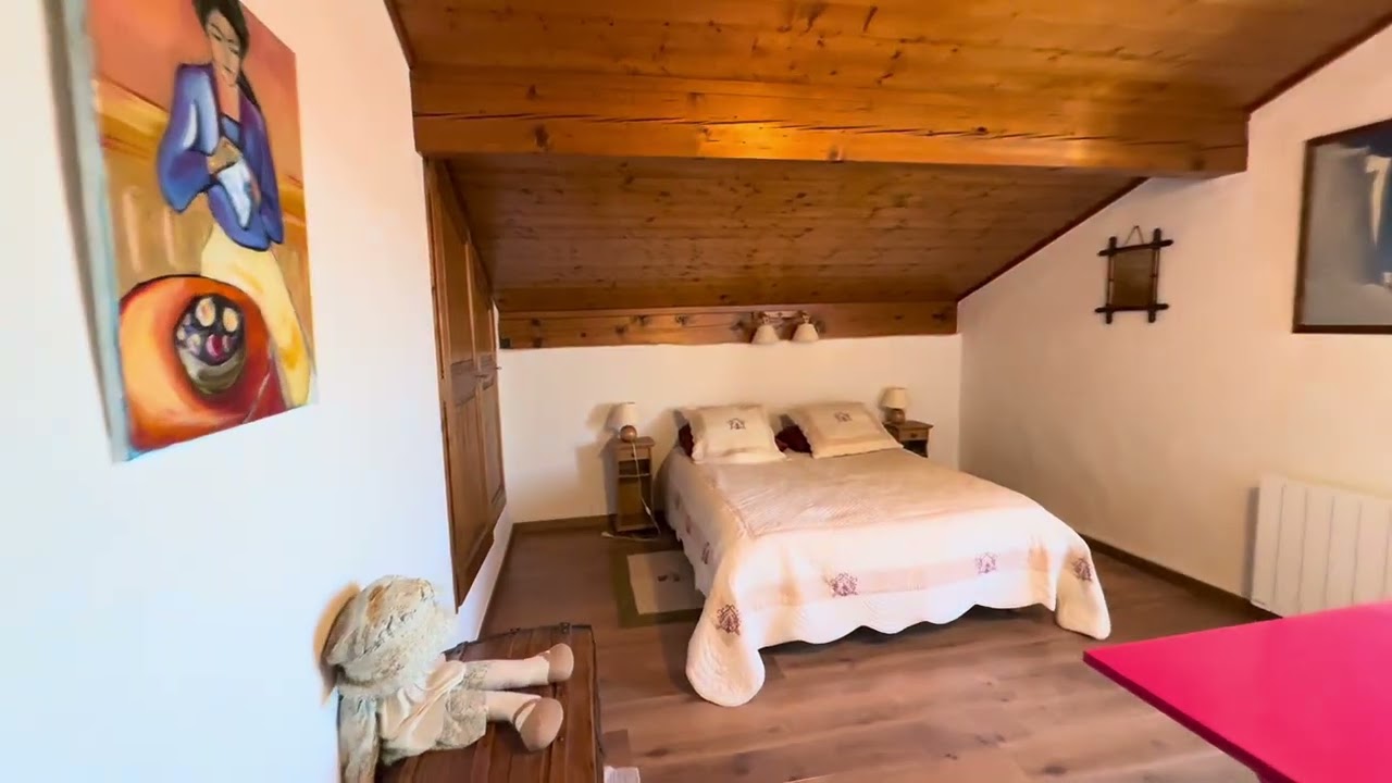 À VENDRE - CHALET DE CHARME 5 CHAMBRES AVEC VUE PANORAMIQUE MONT-BLANC  — PASSY (74190)