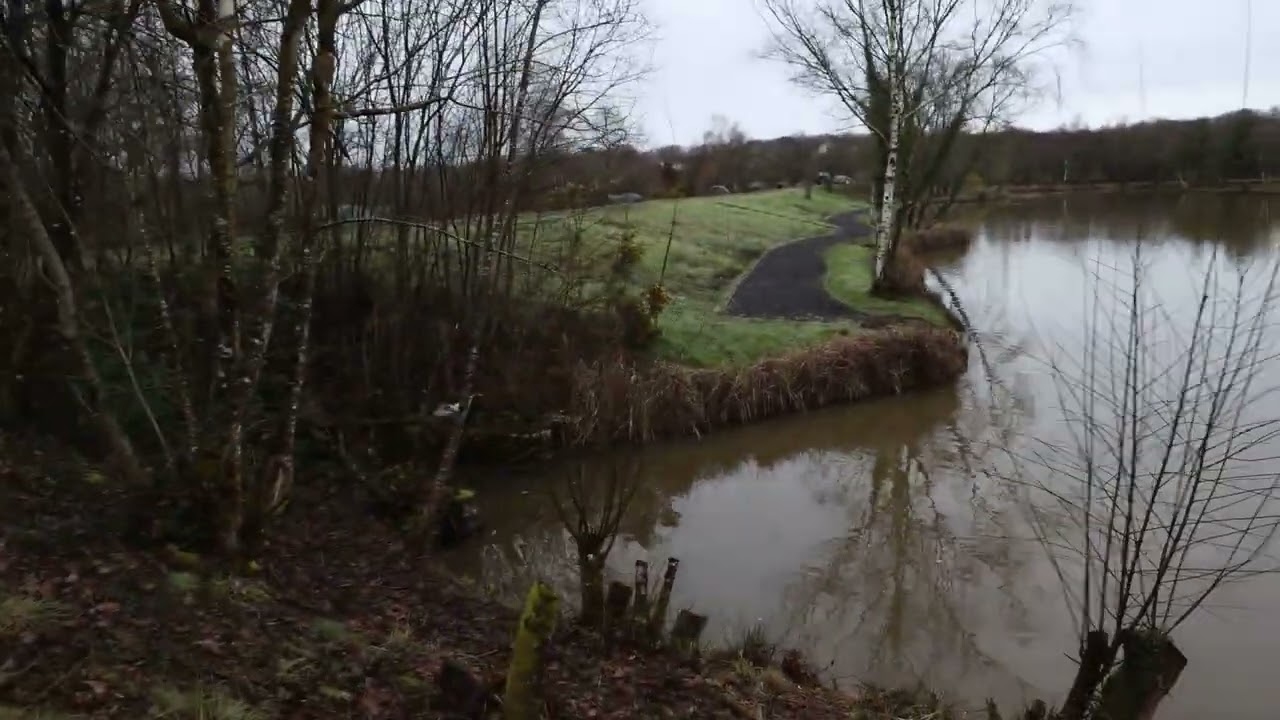 A walk around Woodpecker -