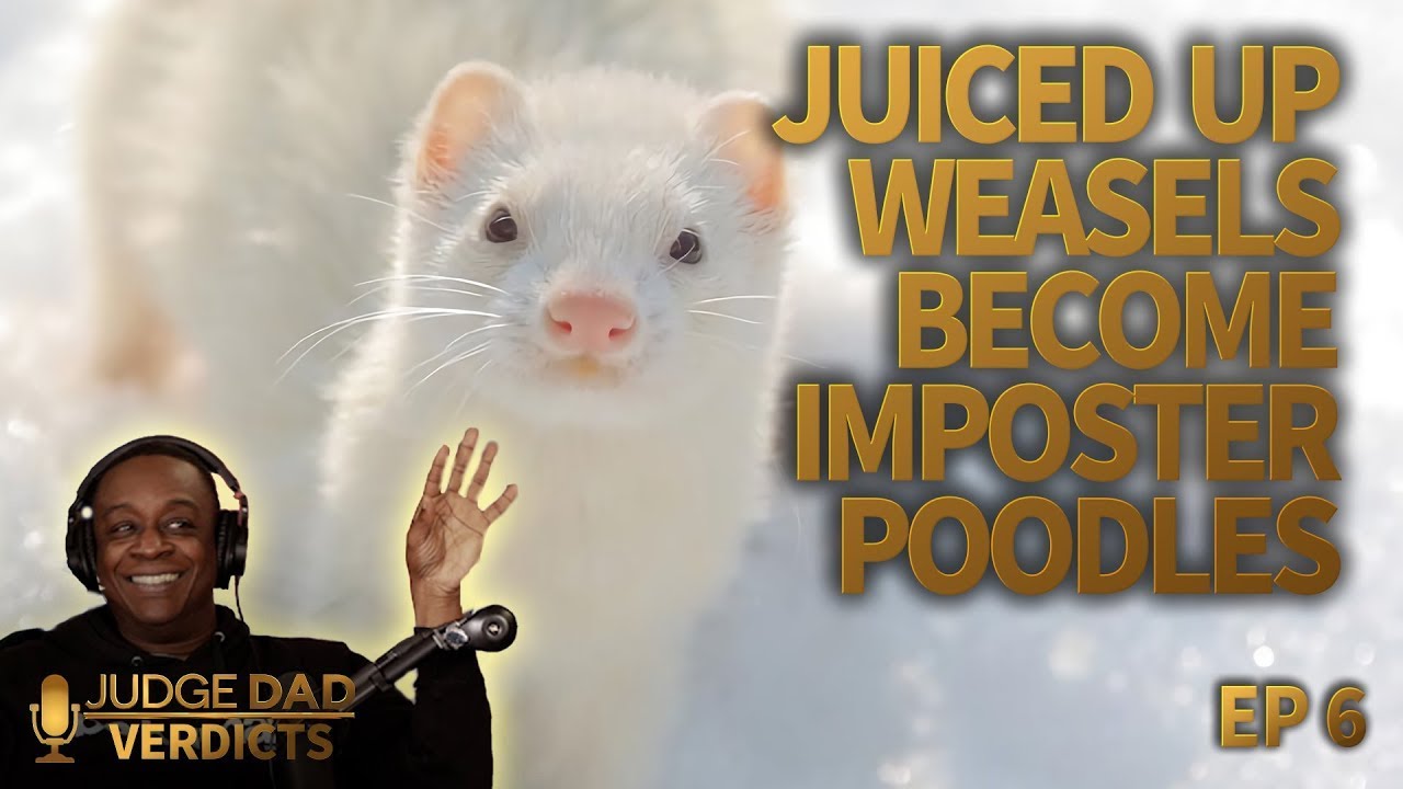 Juiced up Weasels become Imposter Poodles & The Alabama High | Judge Dad: Verdicts - Ep. 6