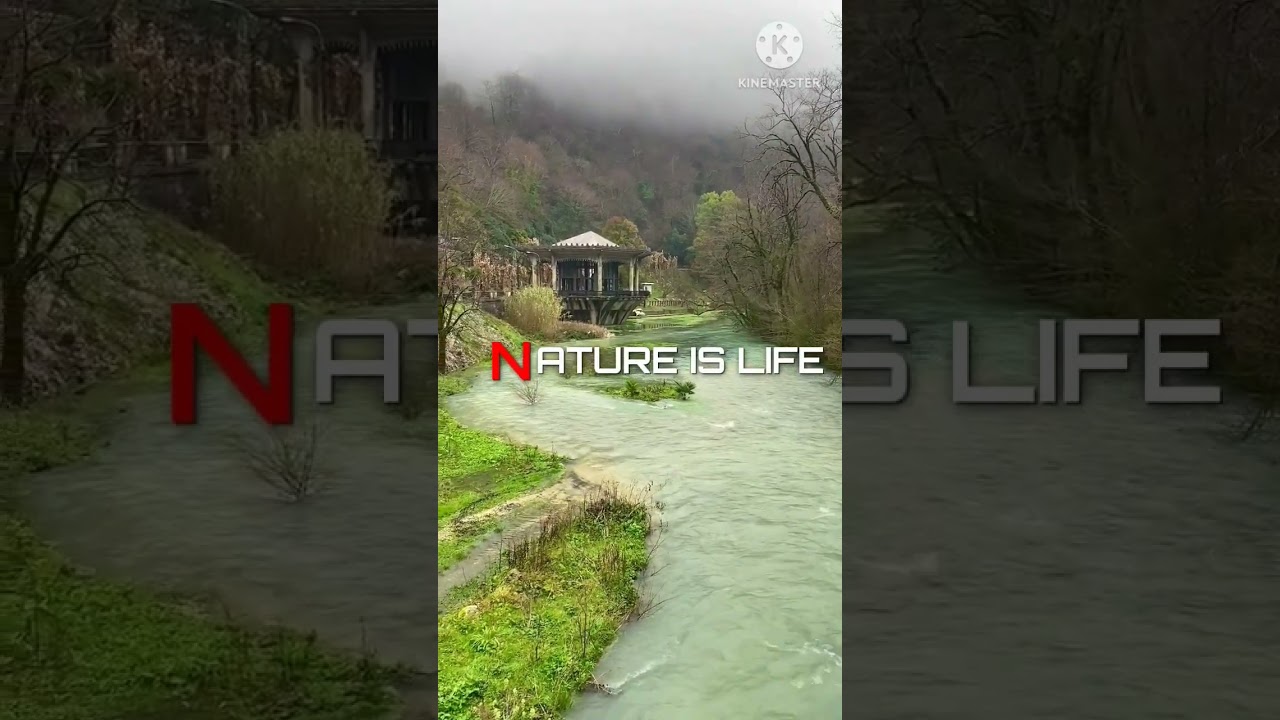 Nature is the meaning of life#nature #natural #nature #naturelovers