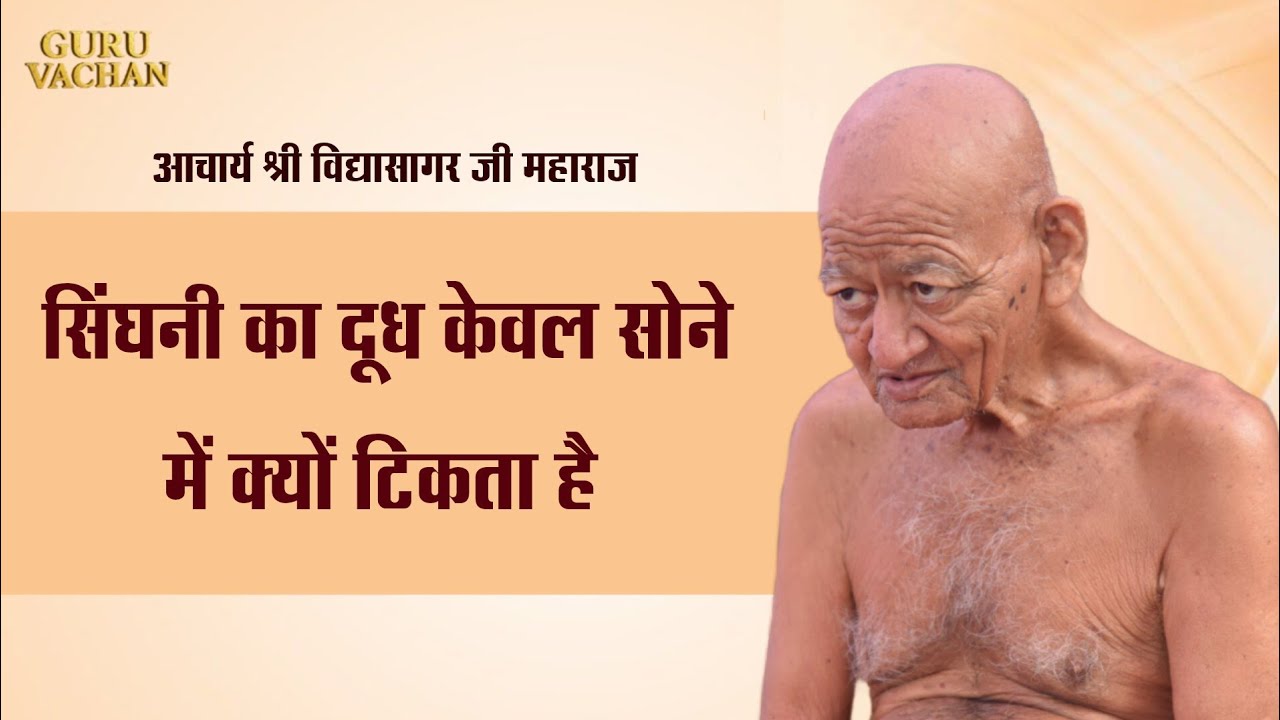 सिंघनी का दूध केवल सोने में क्यों टिकता है || विद्यासागर जी महाराज ||Vidyasagar ji maharaj 