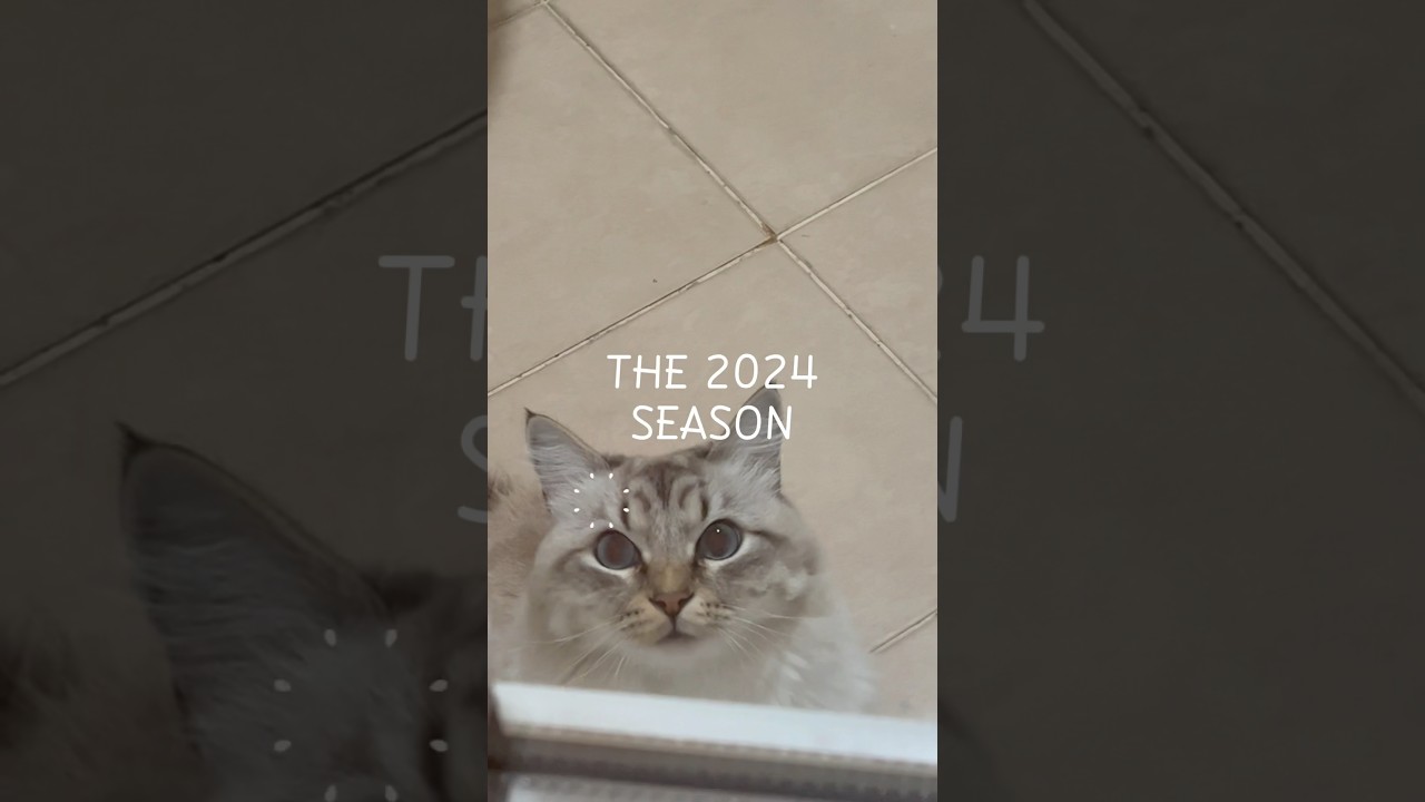 HAPPY NEW YEAR 🎊🎆🥳😸 