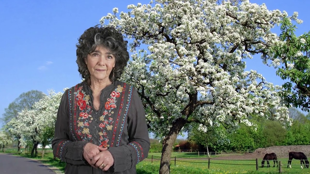 Ruinerwold | Boerenlandschappen