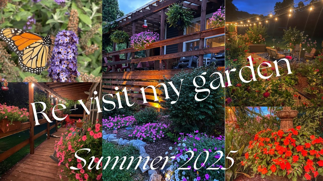 Summer 2025 Garden 🌿| Revisiting my Flower Garden in Full Bloom
