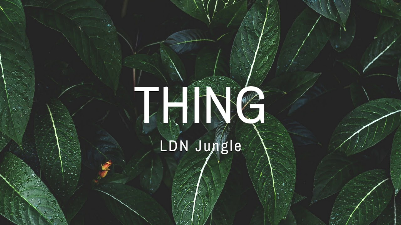 Thing - LDN Jungle (Dubthing Records)