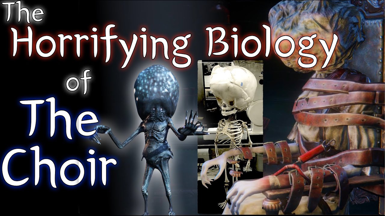 What were their experiments for? | Bloodborne Archaeology Ep. 4