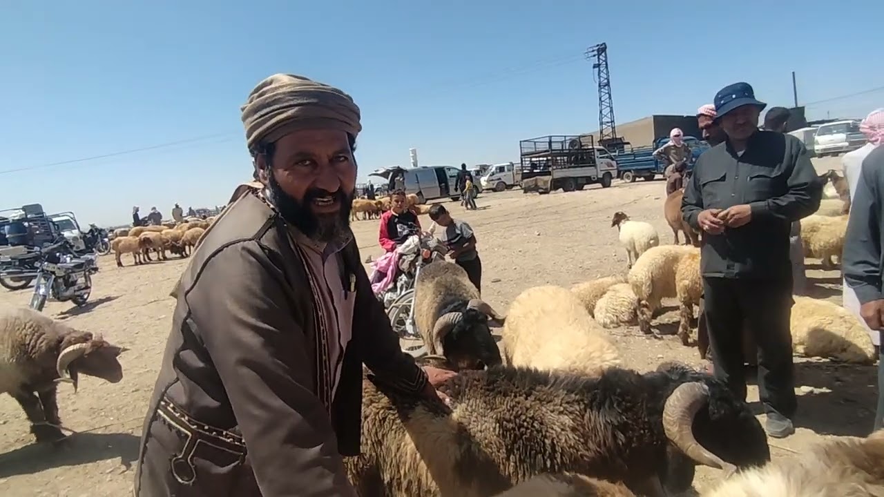 دحام الفاعوري اليوم الرقة سوق وبيزار العدنانية الخميس_20_7_2023 للتواصل 00963934125198
