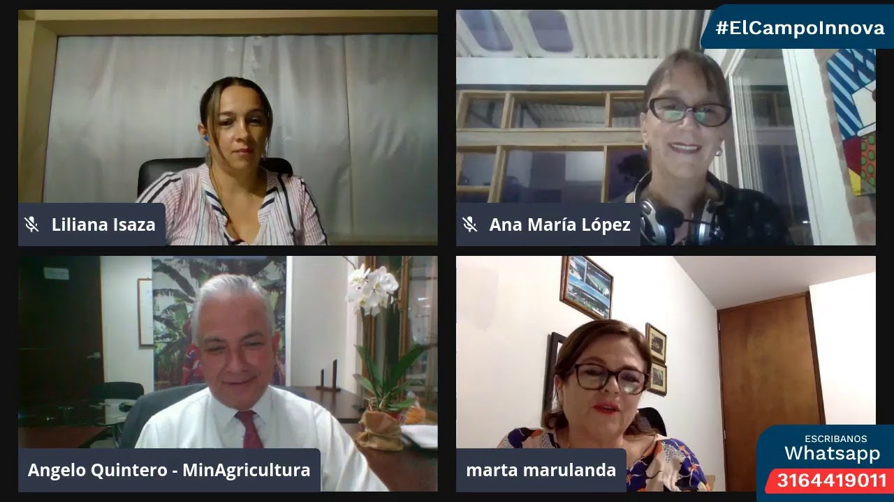 La cadena productiva de la mora