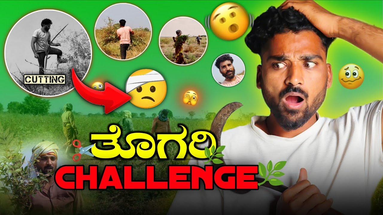 ತೊಗರಿ🌱 ಕೊಯ್ಯುವ chaleng ತಗೊಂಡೆ ಆದ್ರೆ 😱 ಒಬ್ಬನಿಂದ ಆಗುತ್ತಾ ಇದು 🤨