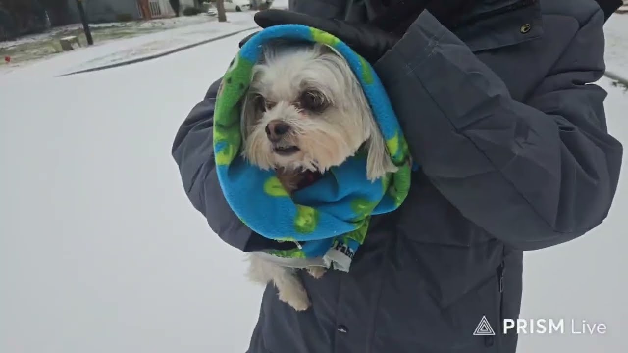 Winter Storm 2026 Charlotte NC
