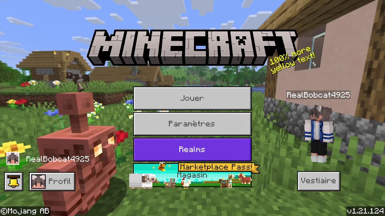 Live Minecraft fr ( je joue avec vous)