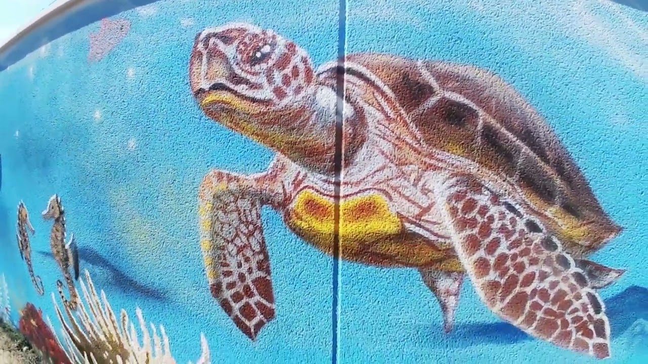 Fresque murale - décoration graffiti street-art sur le thème : océan & fond marin