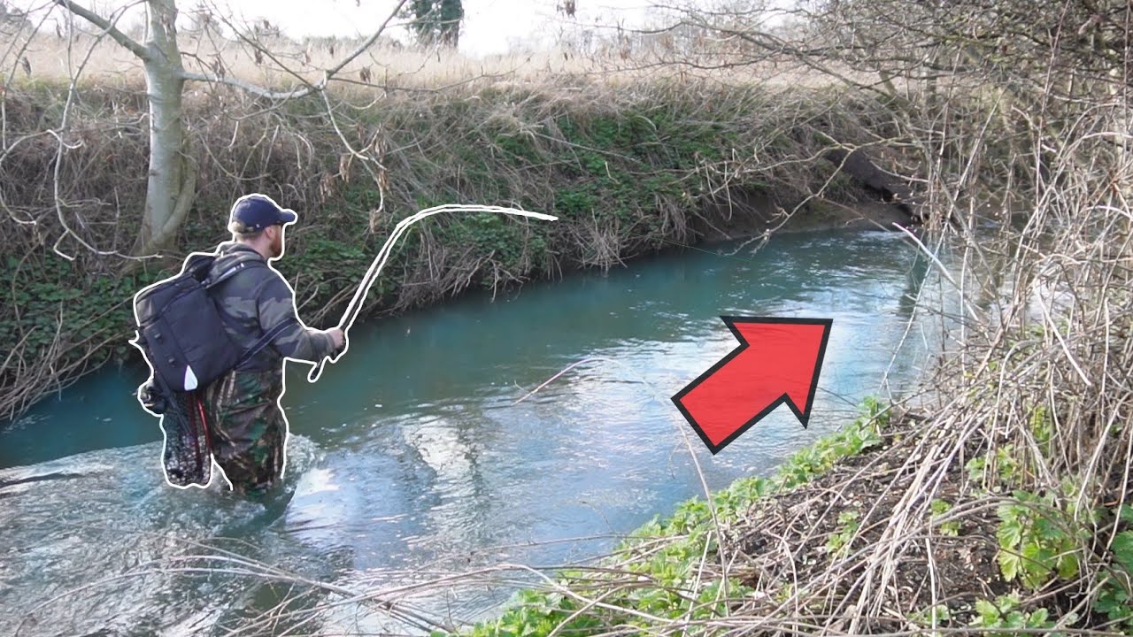 I SMASHED My PB With The Stream Beast!