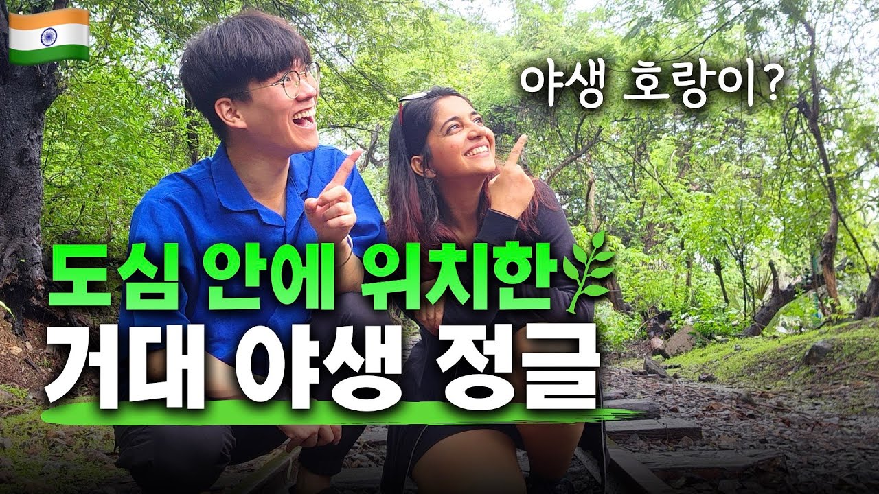 매년 사람이 물려 죽는 호랑이가 사는 인도 정글 | 도시 한 가운데 정글이..? | 인도 [28]