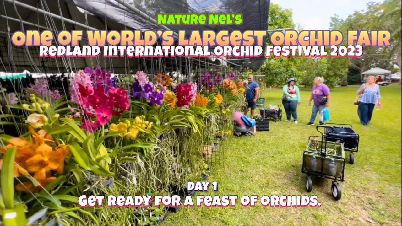 Florida’s Redland International Orchid Show 2023. Day 1 at the VIP opening. It’s an orchid explosion