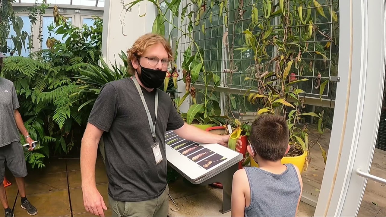 Private Tour Preview: Huntington Library and Gardens