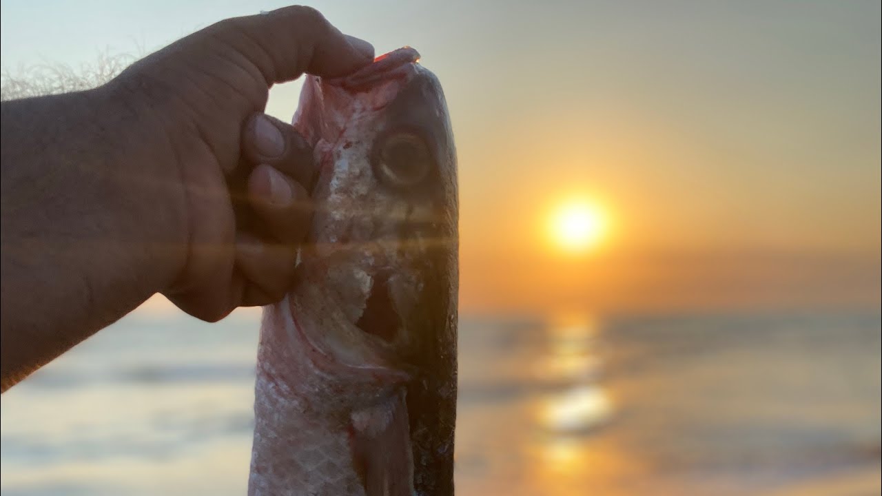 Çırpma balık avı çarpma yöntemi balık avı 🐟