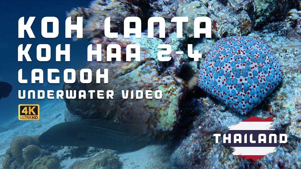 Thailand Koh Lanta Koh Haa 2 & 4 (Lagoon) | 4K UHD Underwater Video Full Diving
