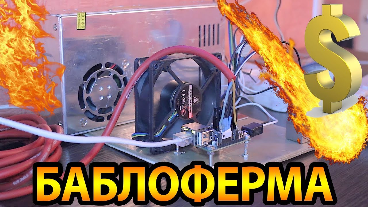БАБЛОФЕРМА на orange pi - Часть 2