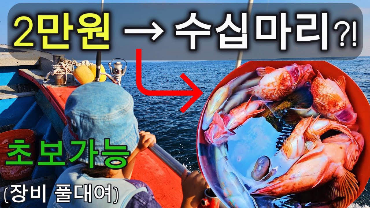 제주도 체험배낚시 2만원! 초보도 수십마리 잡아 회파티?! | 한입의 바다