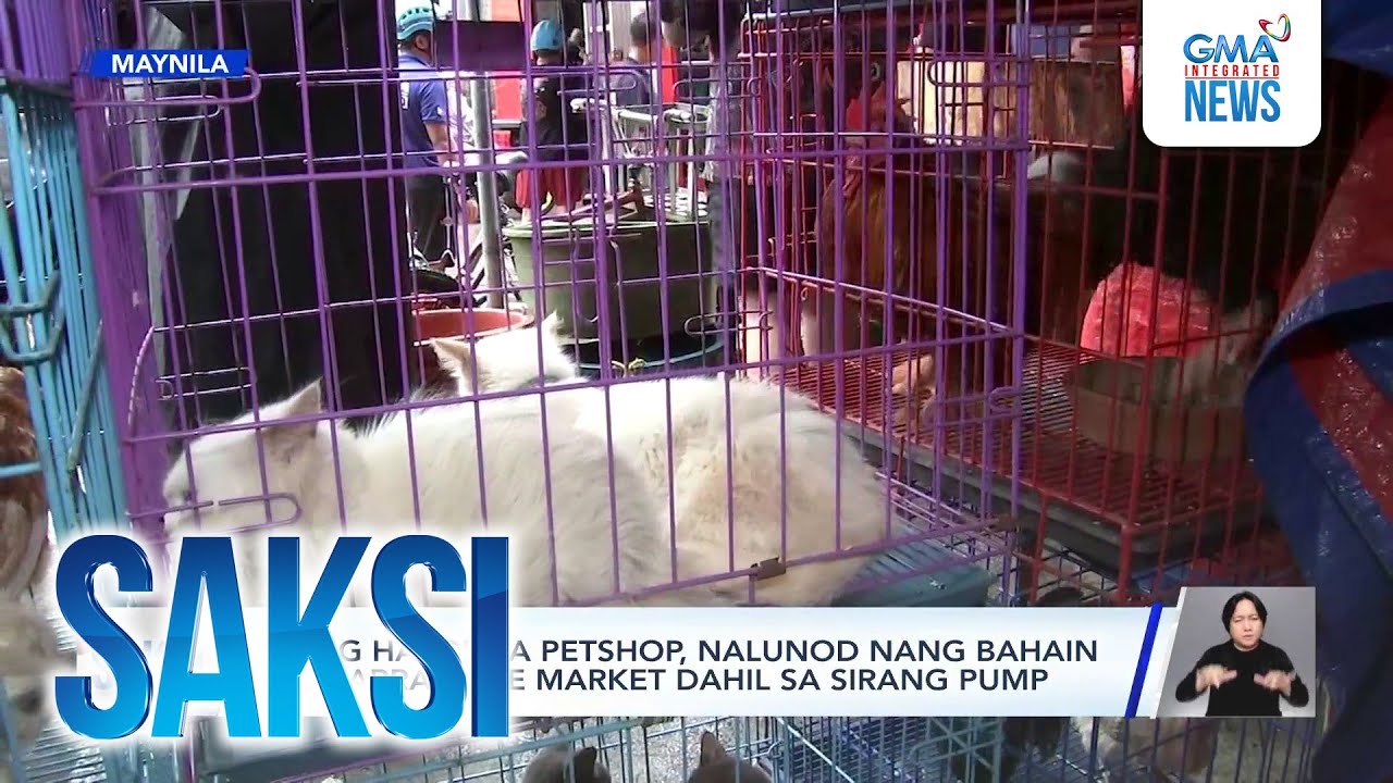 Ilang hayop sa petshop, nalunod nang bahain ang Arranque Market dahil sa sirang pump | Saksi