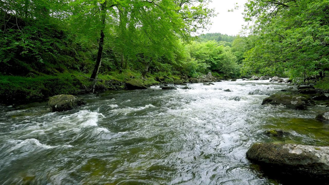 Mountain River Flowing Sounds 24/7 | Nature Sounds White Noise | Flowing Water for Deep Sleep, Relax