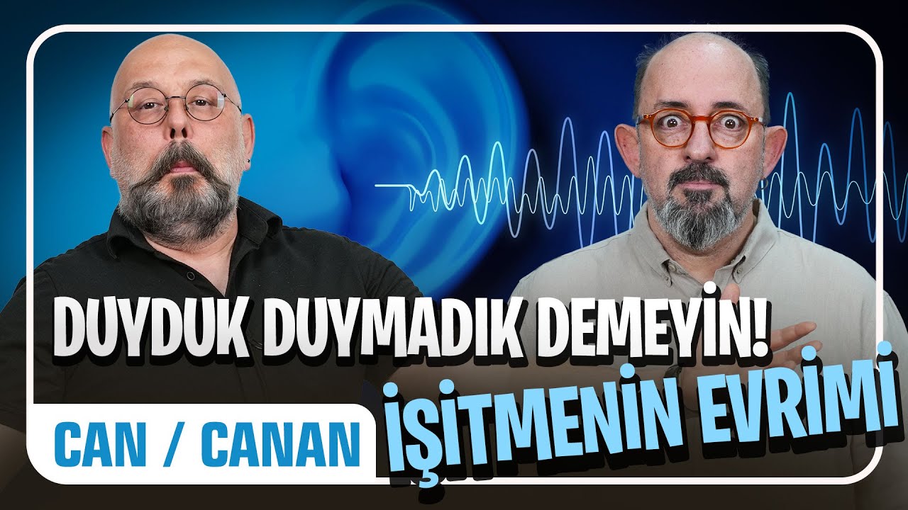 Duyduk Duymadık Demeyin: İşitmenin Evrimi I Önce Can Sonra Canan 330. Bölüm